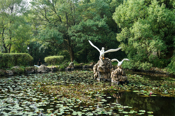 如何挑选适合株洲企业的专业管理咨询公司？