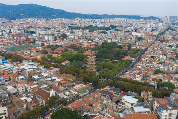 泉州供应链咨询公司如何优化企业供应链流程？