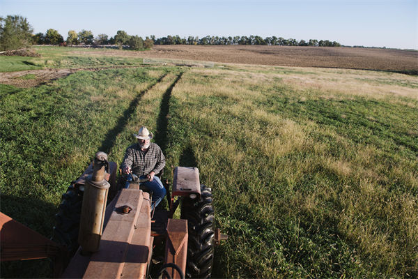 从绩效管理角度分析：中国买巴西大豆让美国农民慌了