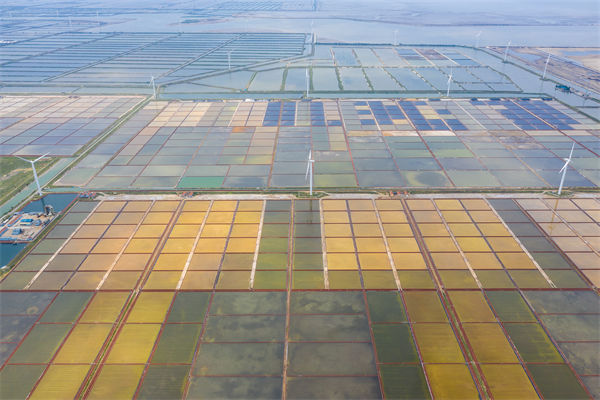 潍坊制造业招工难留人更难，潍坊人力资源咨询公司如何破局用工困局？