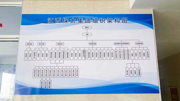 江西保太集团组织架构图